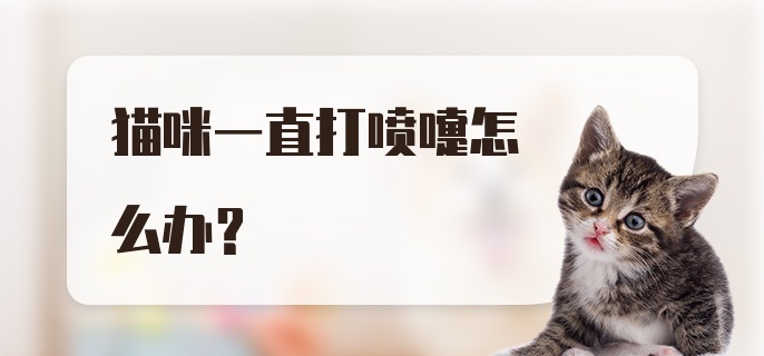 猫咪一直打喷嚏怎么办?