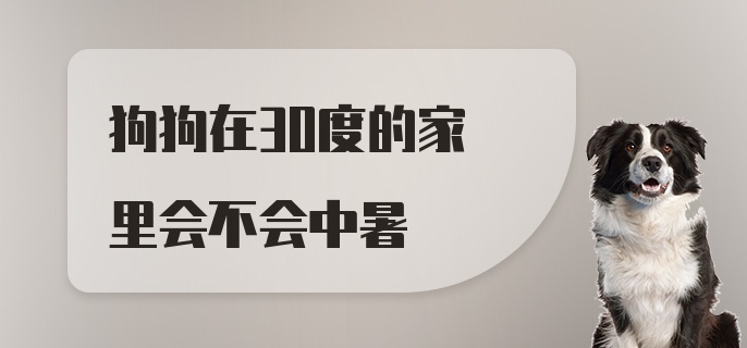 狗狗在30度的家里会不会中暑