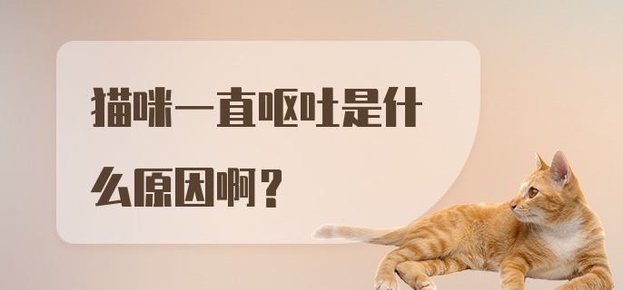 猫咪一直呕吐是什么原因啊？