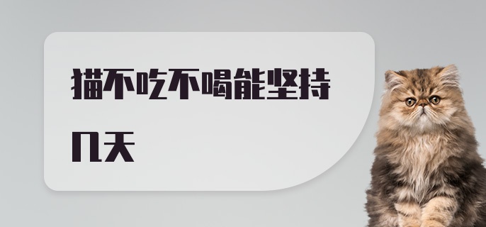 猫不吃不喝能坚持几天