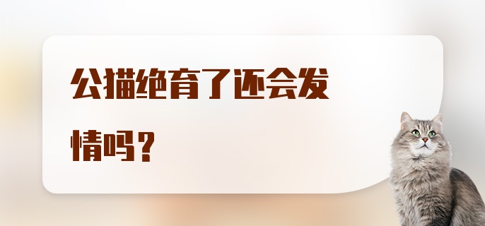 公猫绝育了还会发情吗？