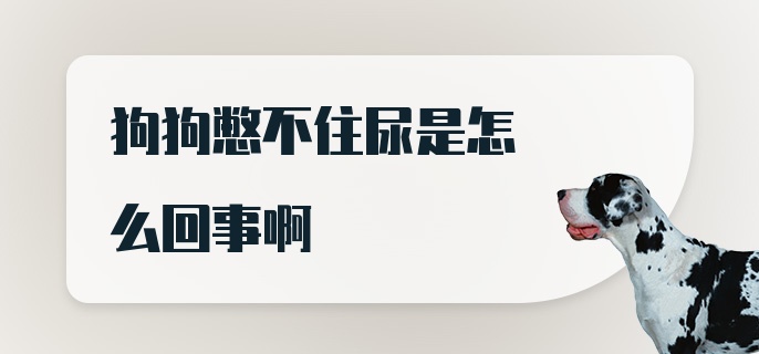 狗狗憋不住尿是怎么回事啊