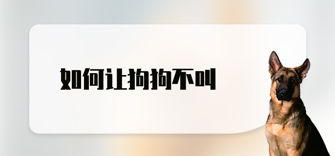 如何让狗狗不叫