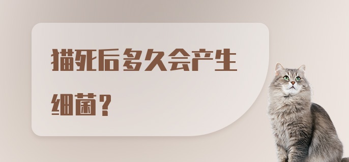 猫死后多久会产生细菌？