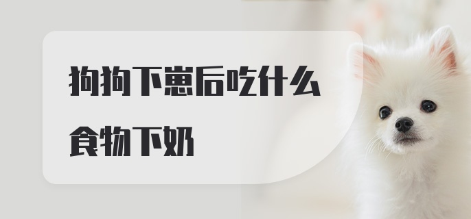 狗狗下崽后吃什么食物下奶