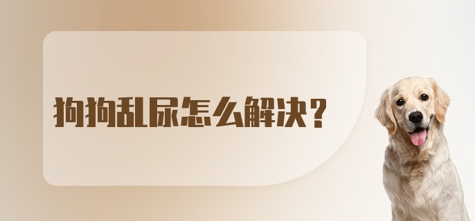 狗狗乱尿怎么解决?