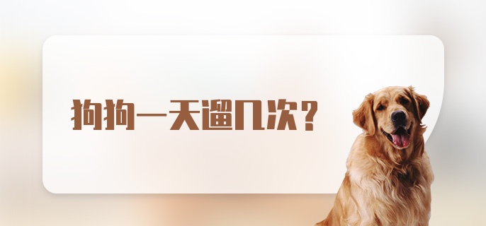 狗狗一天遛几次？