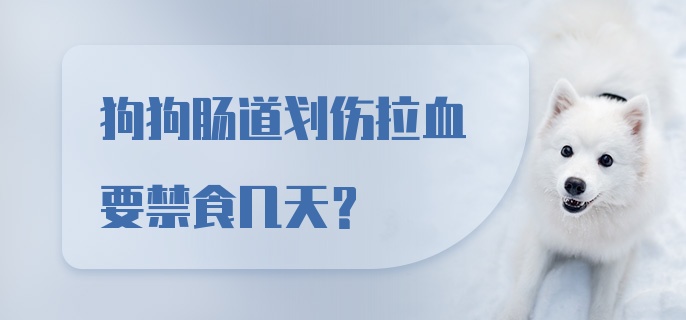 狗狗肠道划伤拉血要禁食几天？