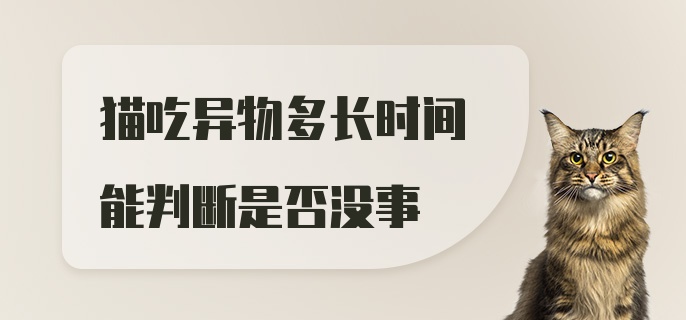 猫吃异物多长时间能判断是否没事