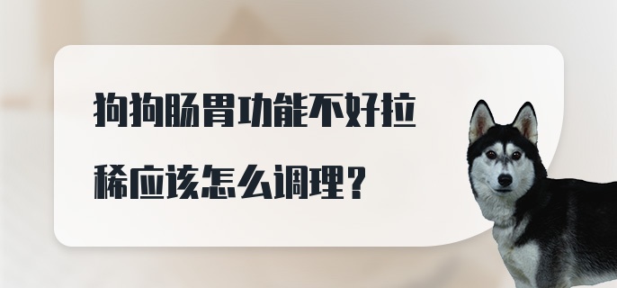 狗狗肠胃功能不好拉稀应该怎么调理？