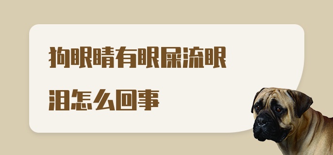 狗眼睛有眼屎流眼泪怎么回事