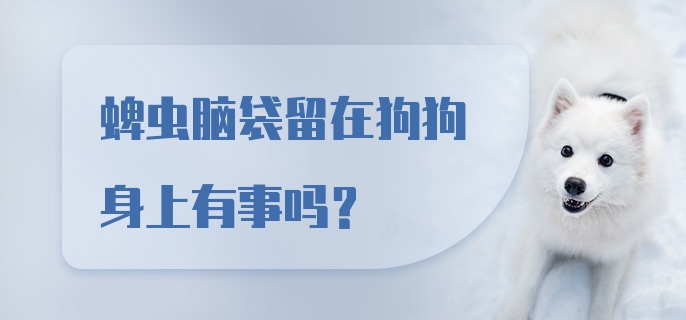 蜱虫脑袋留在狗狗身上有事吗？