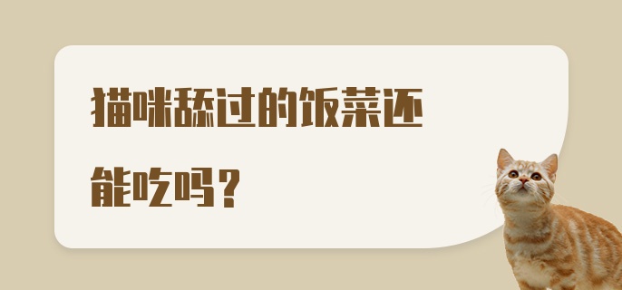 猫咪舔过的饭菜还能吃吗？