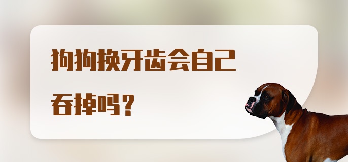 狗狗换牙齿会自己吞掉吗？