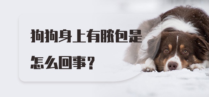 狗狗身上有脓包是怎么回事？