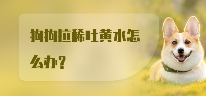 狗狗拉稀吐黄水怎么办?