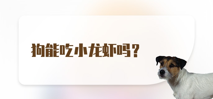 狗能吃小龙虾吗？