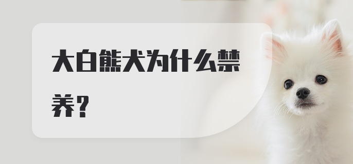 大白熊犬为什么禁养？