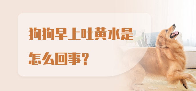 狗狗早上吐黄水是怎么回事？