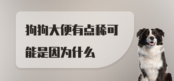 狗狗大便有点稀可能是因为什么