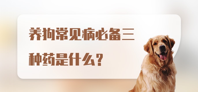 养狗常见病必备三种药是什么？