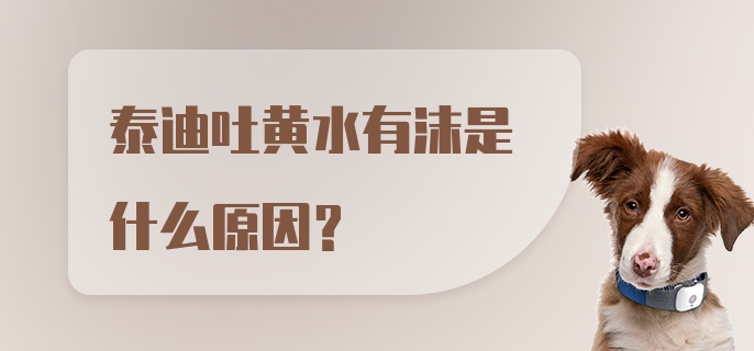 泰迪吐黄水有沫是什么原因？