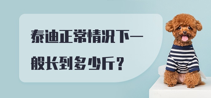 泰迪正常情况下一般长到多少斤？