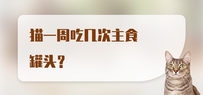 猫一周吃几次主食罐头？