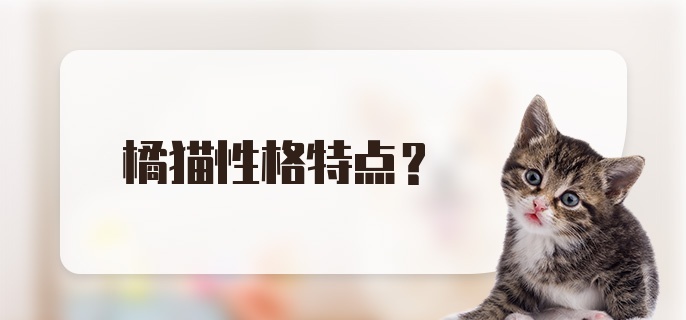 橘猫性格特点？