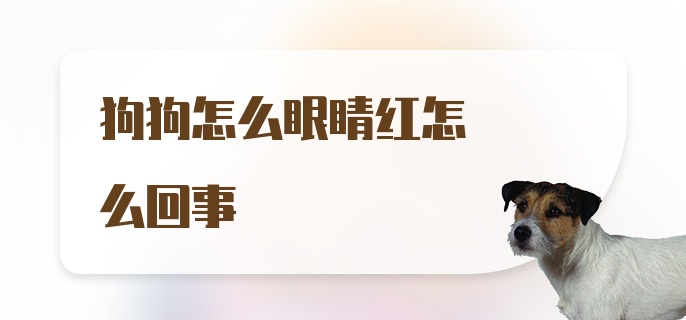 狗狗怎么眼睛红怎么回事