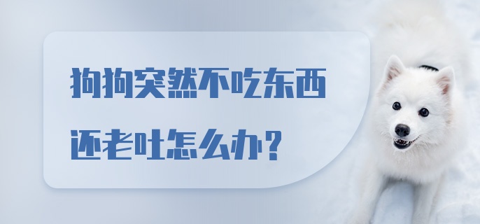 狗狗突然不吃东西还老吐怎么办?