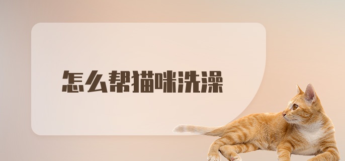 怎么帮猫咪洗澡