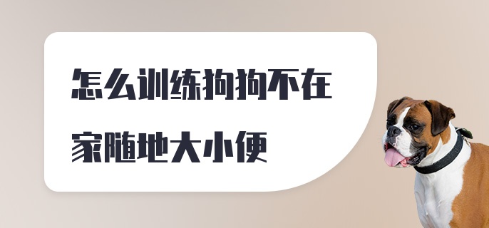 怎么训练狗狗不在家随地大小便