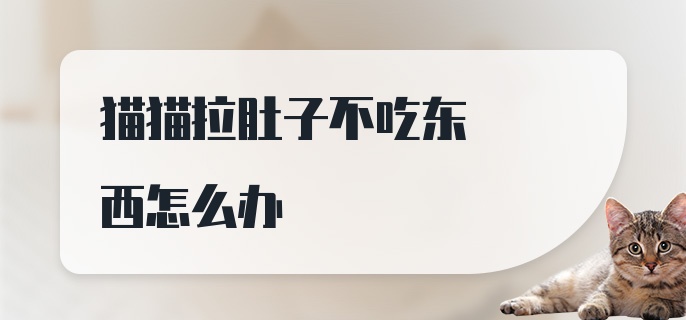 猫猫拉肚子不吃东西怎么办