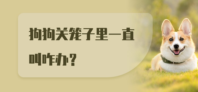 狗狗关笼子里一直叫咋办？