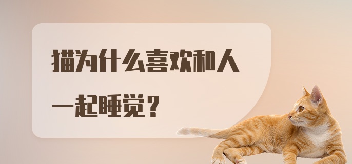 猫为什么喜欢和人一起睡觉？