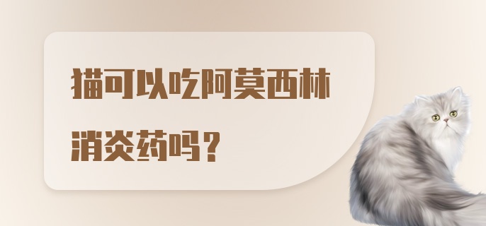 猫可以吃阿莫西林消炎药吗？