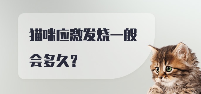 猫咪应激发烧一般会多久？