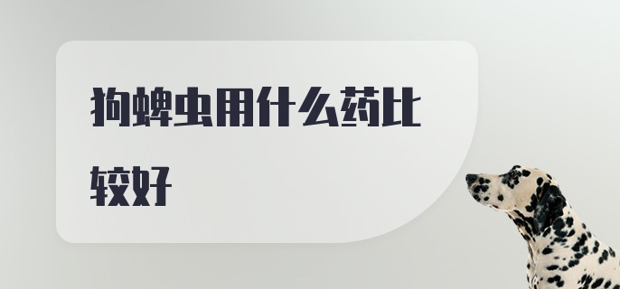 狗蜱虫用什么药比较好