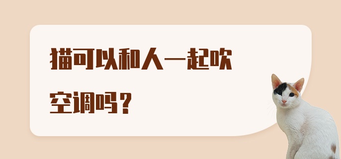 猫可以和人一起吹空调吗？