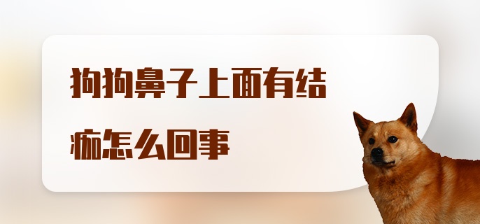 狗狗鼻子上面有结痂怎么回事