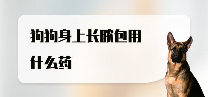 狗狗身上长脓包用什么药