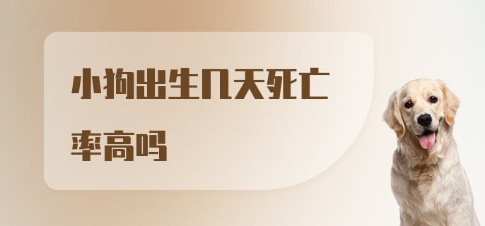 小狗出生几天死亡率高吗