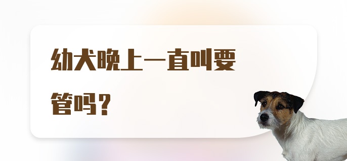 幼犬晚上一直叫要管吗？