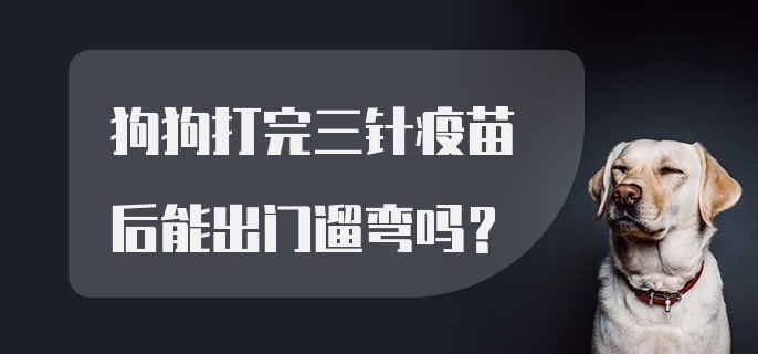 狗狗打完三针疫苗后能出门遛弯吗？