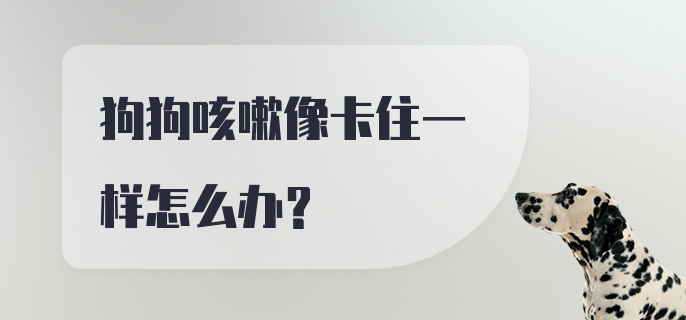 狗狗咳嗽像卡住一样怎么办？