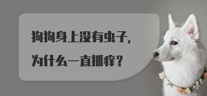 狗狗身上没有虫子，为什么一直抓痒？