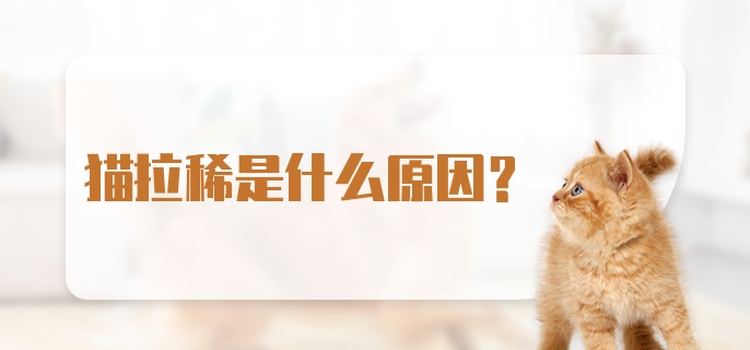 猫拉稀是什么原因？