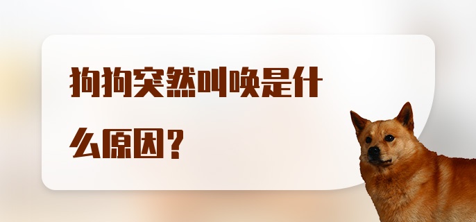 狗狗突然叫唤是什么原因？