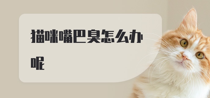 猫咪嘴巴臭怎么办呢